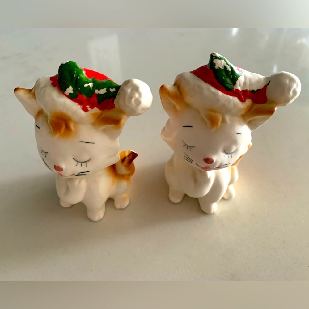 Vintage salt and pepper shakers (set of 2)